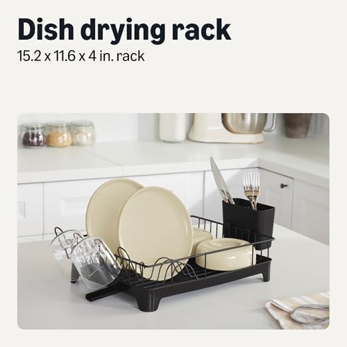Dish Drying Rack for Kitchen Counter, Stainless Steel Dish Rack with Drainboard, 15.2 x 11.6 x 4 in., Black