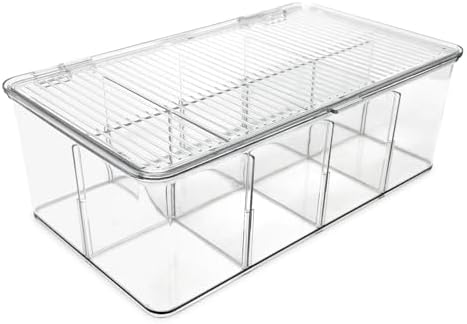 Divided Clear Plastic Organizer (10.88" x 6.63" x 3.75")