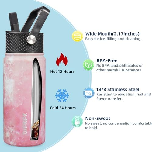 2 Pack 18oz Insulated Water Bottles with Straw Lids, Stainless Steel