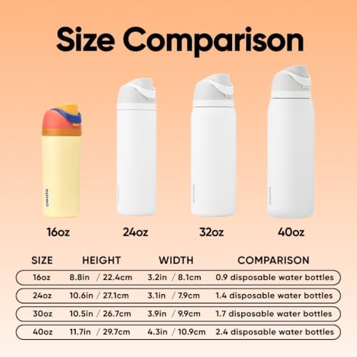 Owala FreeSip Kids Stainless Steel Water Bottle 16 oz Misty Horizons