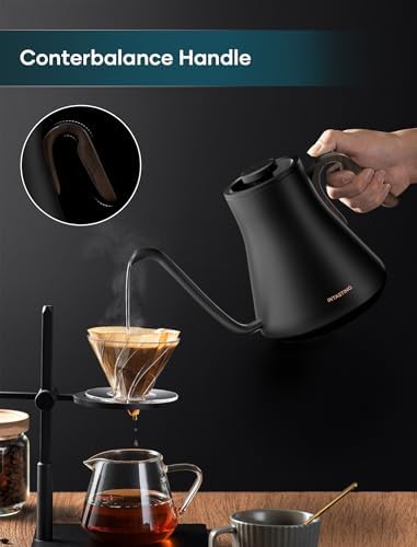 Gooseneck Electric Kettle with ±1℉ Temperature Control, 0.9L