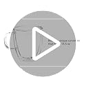 Savor Double Wall Insulated Glasses - Coffee Mugs (Set of 2) - 13.5-Ounces
