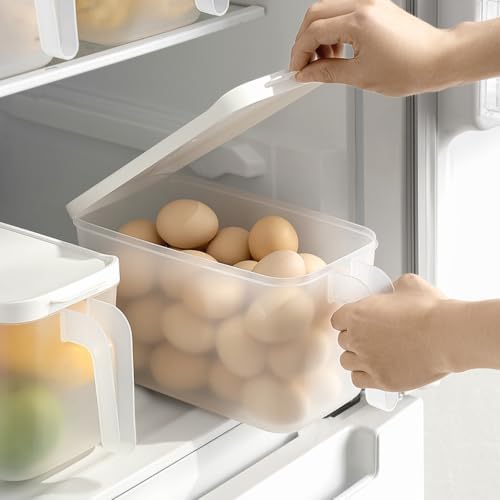2 Pack 135oz Clear Egg Storage Containers with Handle, Airtight