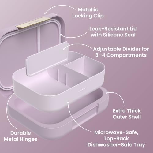 Modern Adult Bento Lunch Box with 3-4 Compartments