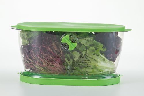 PrepSolutions Lettuce Keeper, Produce Storage Container, 4.7-Quart Capacity