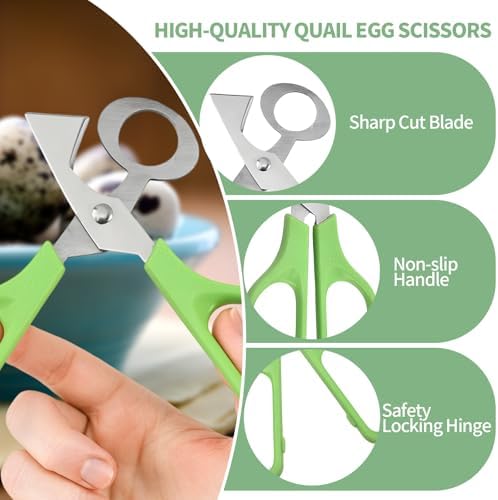 6PCS Quail Egg Scissors,Stainless Steel Quail Egg Cutter with Non-Slip Handle, Easy Egg Opening Tool for Quail, Ideal for Kitchen, Restaurant Use(Multiple colors) - Image 3