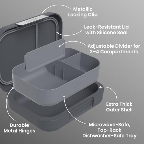 Modern Adult Bento Lunch Box with 3-4 Compartments