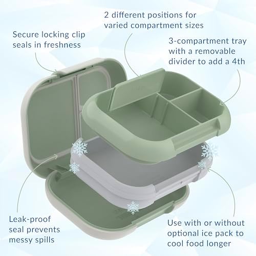 Chill Max Leak-Proof XL Bento-Style 3 or 4 Compartment Lunch Box