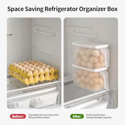 2 Pack 135oz Clear Egg Storage Containers with Handle, Airtight