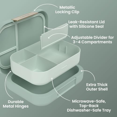 Modern Adult Bento Lunch Box with 3-4 Compartments