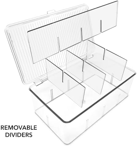 Divided Clear Plastic Organizer (10.88" x 6.63" x 3.75")