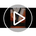 12 Pieces Boston Cocktail Shaker Set, Mixology Bartender Kit, Gold