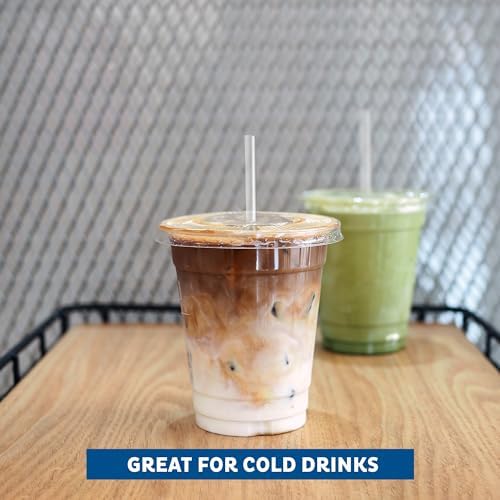 16 oz Clear Disposable Plastic Cups with Flat Lids and Straws, 100 Pack Clear Plastic Cups Tumblers, Heavy-duty Party Glasses, Disposable Cups for Thanksgiving, Halloween, Christmas Party
