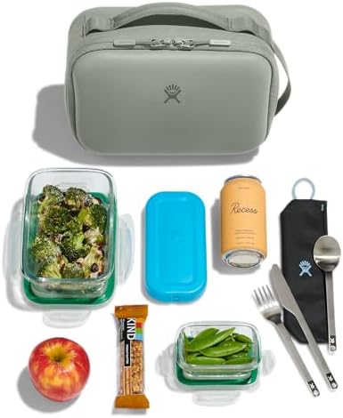 Hydro Flask Carry Out Lunch Box – Insulated Adult Lunch Cooler for Men and Women 5 L Sandpiper
