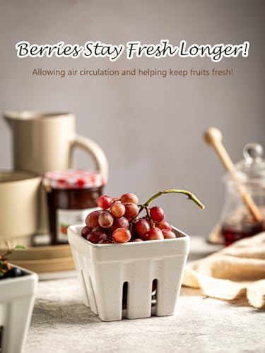 Ceramic Berry Bowl Set of 2 Square Strawberry Basket, Cream White