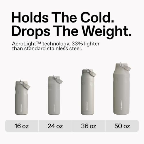 STANLEY IceFlow Flip Straw 2.0 Bottle, 24 oz, Frost