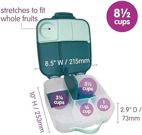 Lunch Box, 8.5 Cup Bento Box for All Ages, Snack Box, Food Containers