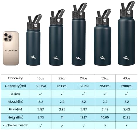 24 oz Insulated Stainless Steel Water Bottle with Straw Lid
