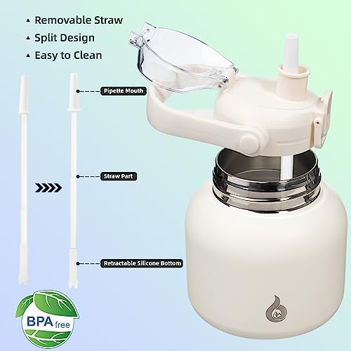 27oz Insulated Water Bottle with Straw Lid, Cute Stainless Bottle
