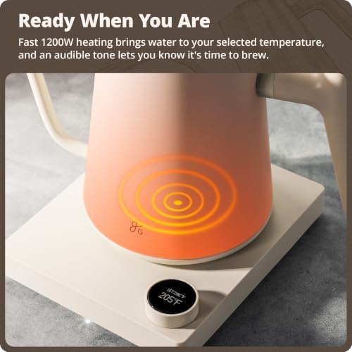 Gooseneck Electric Kettle, 1200W Temperature Control, 0.8L