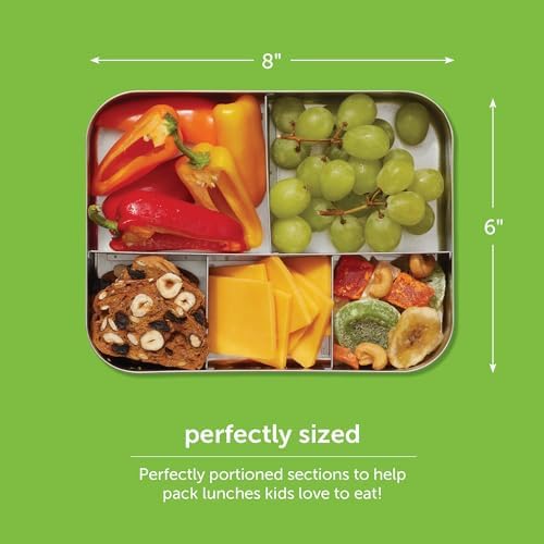 Large Trio Stainless Steel Kids Bento Box 3-Section Aqua 32oz