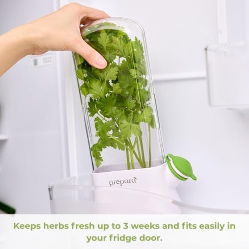 Herb Savor Eco, Fresh Herbs Storage Container, White/Green