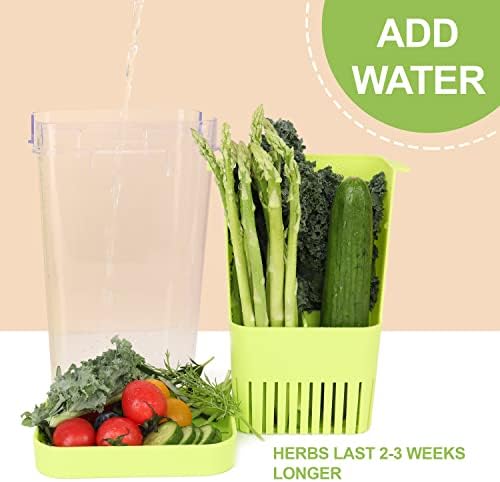 3 Pack Herb Keeper, BPA-Free Plastic Herb Saver with an Inner Basket for Cilantro, Mint, Parsley, and Asparagus, Keeps Fresh Herbs for 3 Times Longer