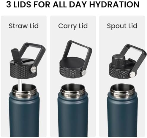 24 oz Insulated Stainless Steel Water Bottle with Straw Lid