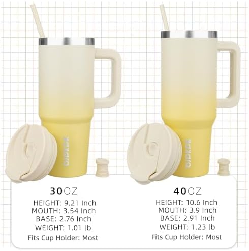 30 oz Insulated Tumbler with Handle & Straw, Stainless Steel