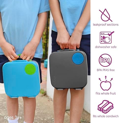 Lunch Box, 8.5 Cup Bento Box for All Ages, Snack Box, Food Containers
