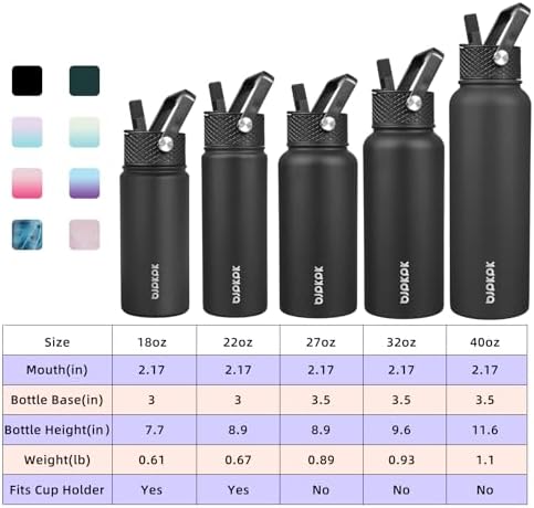 2 Pack 18oz Insulated Water Bottles with Straw Lids, Stainless Steel