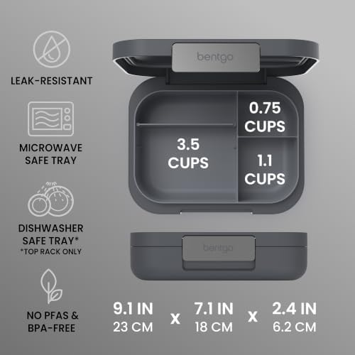 Modern Adult Bento Lunch Box with 3-4 Compartments
