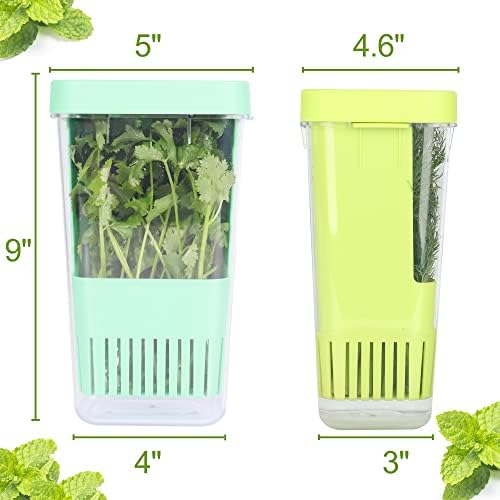 2 Pack Fresh Herb Keeper for Refrigerator, Clear BPA-Free Herb Saver, Storage Container for Cilantro, Parsley, Thyme, Mint & Asparagus, Preserver Keeps Fresh Herbs for 3 Times Longer