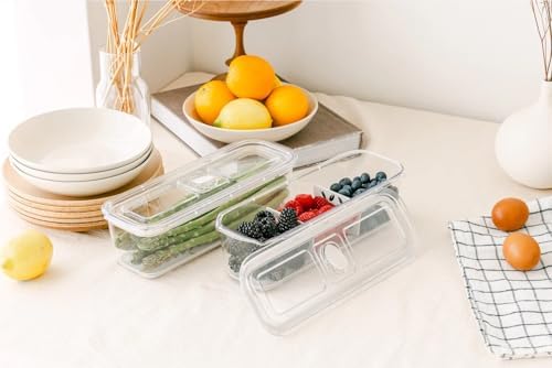 Latchlok Click 6.2 Cup Food Storage Container with Raiser & Divider, Oat