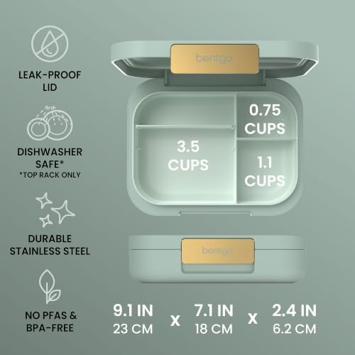 Modern Adult Bento Lunch Box with 3-4 Compartments