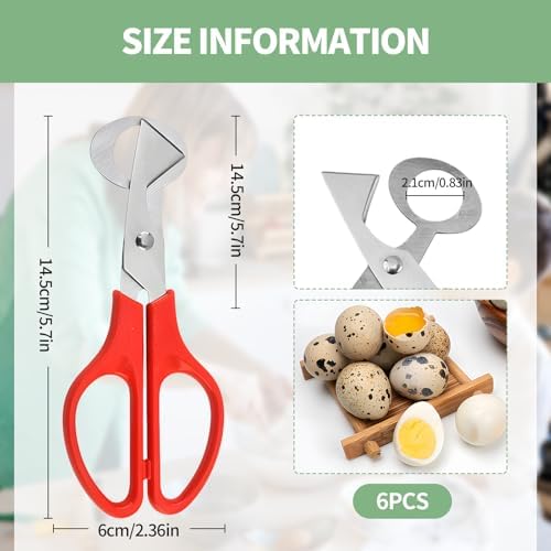 6PCS Quail Egg Scissors,Stainless Steel Quail Egg Cutter with Non-Slip Handle, Easy Egg Opening Tool for Quail, Ideal for Kitchen, Restaurant Use(Multiple colors) - Image 2