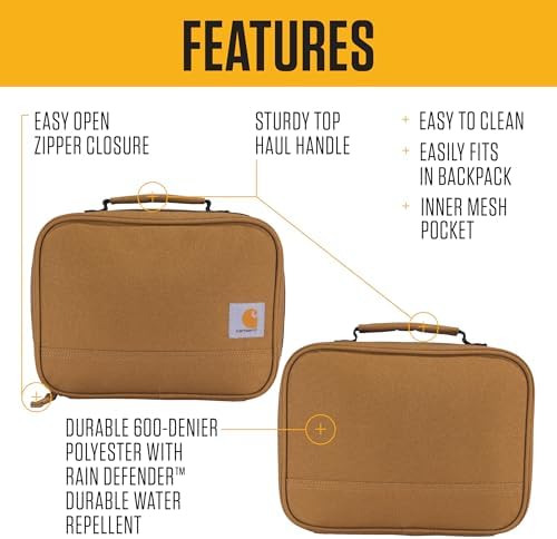 Insulated Lunch Cooler For Men and Women, Fully Insulated Lunch Pale for Everyday Use, 4 Can (Brown)