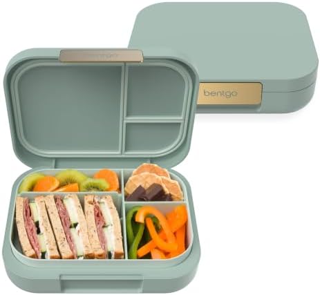 Modern Adult Bento Lunch Box with 3-4 Compartments