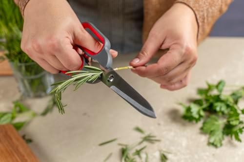 Kitchen Shears Universal