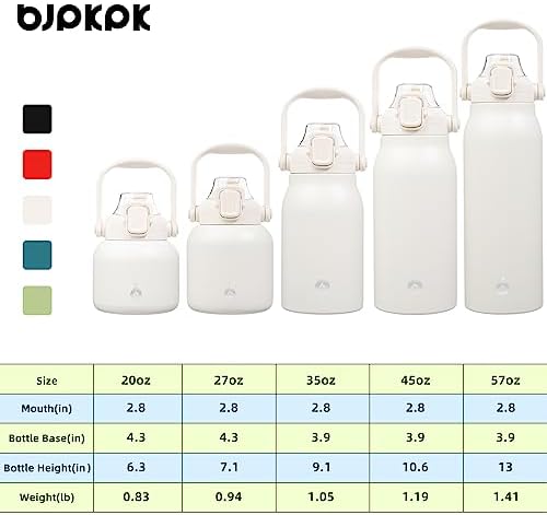 27oz Insulated Water Bottle with Straw Lid, Cute Stainless Bottle