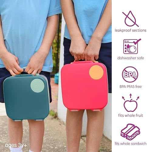 Lunch Box, 8.5 Cup Bento Box for All Ages, Snack Box, Food Containers