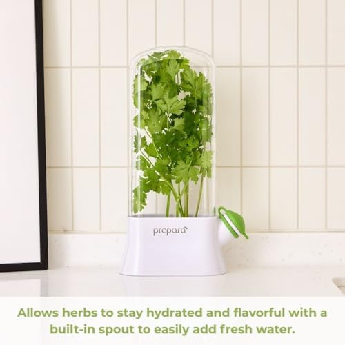 Herb Savor Eco, Fresh Herbs Storage Container, White/Green