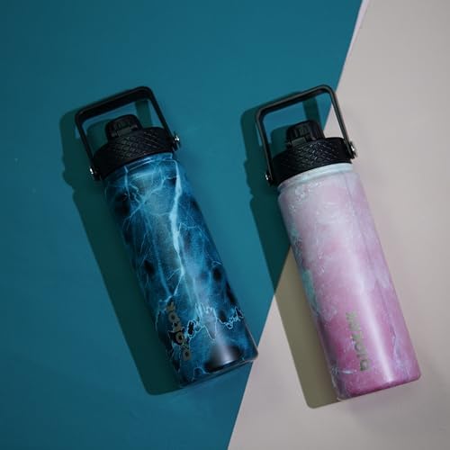 2 Pack 18oz Insulated Water Bottles with Straw Lids, Stainless Steel