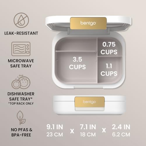 Modern Adult Bento Lunch Box with 3-4 Compartments