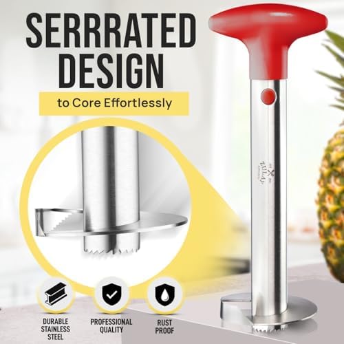 Stainless Steel Pineapple Corer, Slicer & Eye Peeler