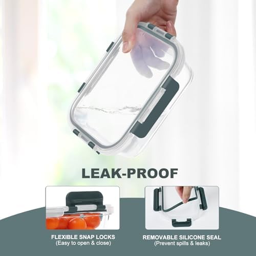 10 Pack Glass Food Storage Containers with Lids