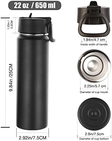 22oz Insulated Water Bottle with Straw Lid, Mix, 4-Pack