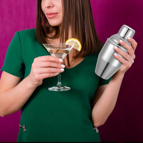 6 Pcs Bar Cocktail Shaker Stainless Steel, 8 oz
