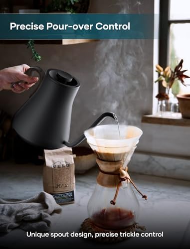 Gooseneck Electric Kettle with ±1℉ Temperature Control, 0.9L