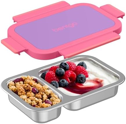 Stainless Steel Snack Box, Leak-Proof, 2 Compartments, 2-Cup Capacity